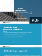 Tema 6 Gestion Del Riesgo