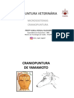 Aula Cranio Cauda Vet Puc