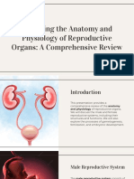 Wepik Exploring The Anatomy and Physiology of Reproductive Organs A Comprehensive Review 202308240242582EeT