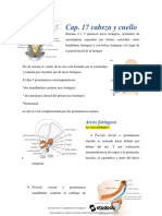 Cap 17 Cabeza y Cuello - Lagman Embriologia Medica