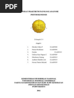 Download Referat Praktikum Patologi Anatomi by Rostikawaty Azizah SN66690249 doc pdf