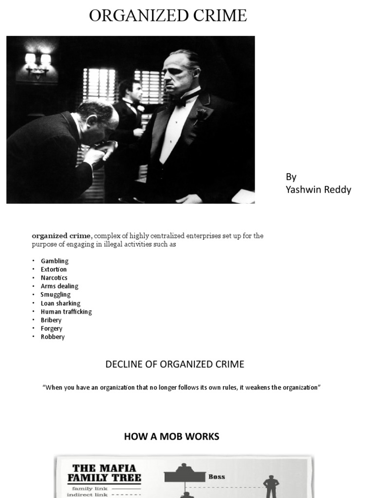 Mafia Pdf