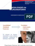 Generalidades Sistema Nervioso