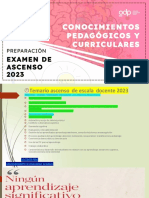 15 08 L Grupo Docente Peru L Conocimientos Pedagogicos y Curriculares