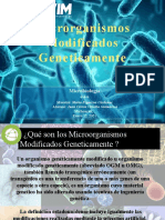 Microorganismos Modificados Geneticamente