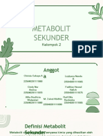 Metabolit Sekunder Kelompok 2