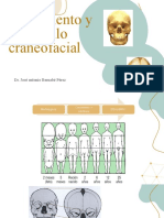 Arcos Branquiales