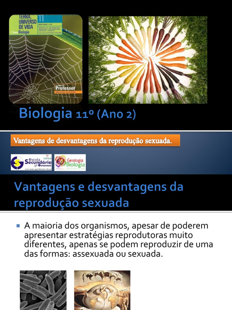 17 - Vantagens e Desvantagens Da Reprodução Sexuada | PDF | Reprodução ...