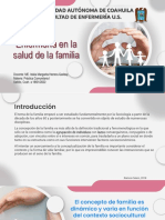 Enfermeria en La Salud de La Familia - APOYO TEMATICO