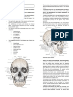 Self Directed Module.3. BRAINSTEM