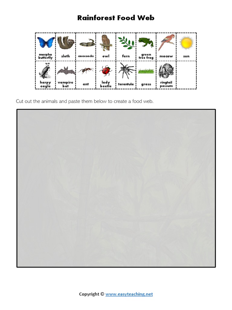 Rainforest Food Web: Cut Out The Animals and Paste Them Below To Create ... Biology Diagrams