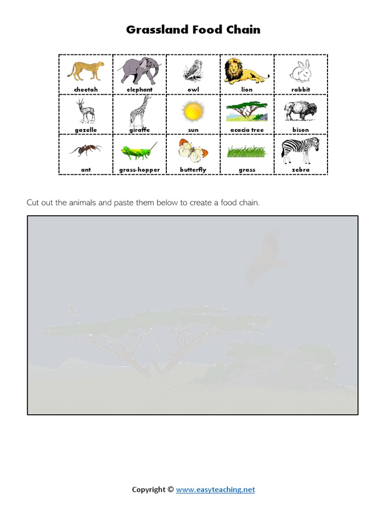 Grassland Food Chain: Cut Out The Animals and Paste Them Below To ... Biology Diagrams
