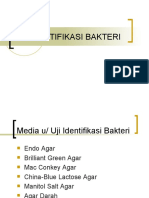 Uji Identifikasi Bakteri