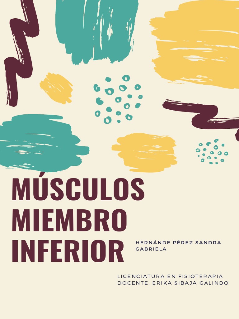 Músculos Miembro Inferior | PDF | Cadera | Articulaciones