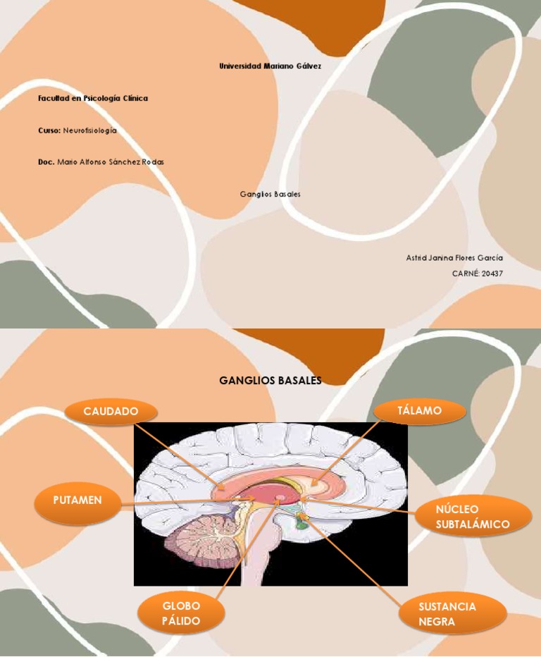 Ganglios Basaless PDF