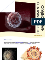 3 Fecundação e Des Embrionário