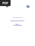 Module 1 - VoIP Fundamentals