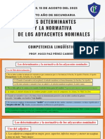 4S Los Determinantes y La Normativa de Los Adyacentes Nominales