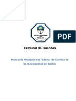 Manual de Auditoria TCM