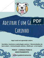 Percy Consultoria e Adestramento