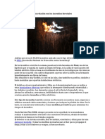 El Tendido Eléctrico y Su Relación Con Los Incendios Forestales Por Celeste de Sousa