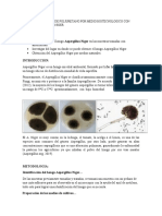 Informe de Analisis de Hierro en Un Medicamento