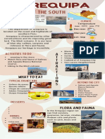 Arequipa Infografia