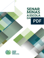 Minas: Senar