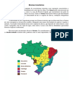 Biomas Brasileiros - Amazônia e Cerrado