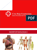 3 - Morfofisiologia i (1)