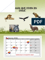 Animales Que Viven en Chile