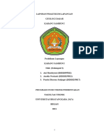 Laporan Lapangan Geologi Dasar Kelompok 3