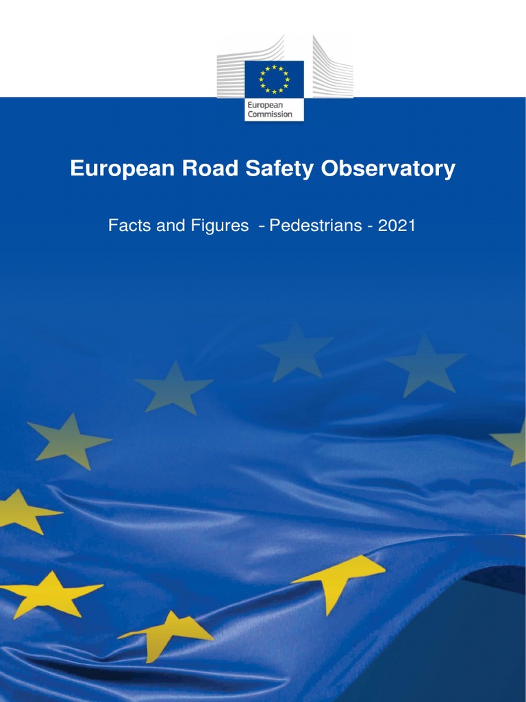 European Road Safety Observatory | PDF