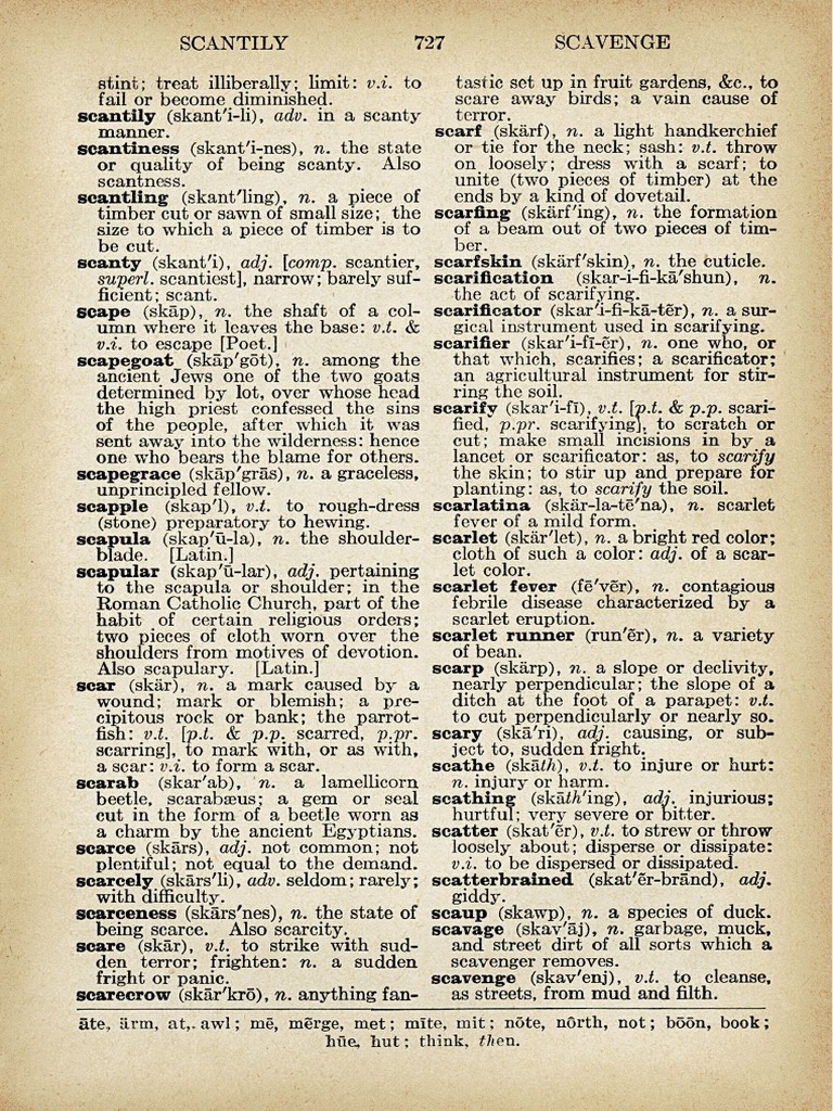 Dictionary Page | PDF