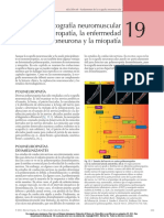 Ecografía Neuromuscular de La Polineuropatía, La Enfermedad de Motoneurona y La Miopatía