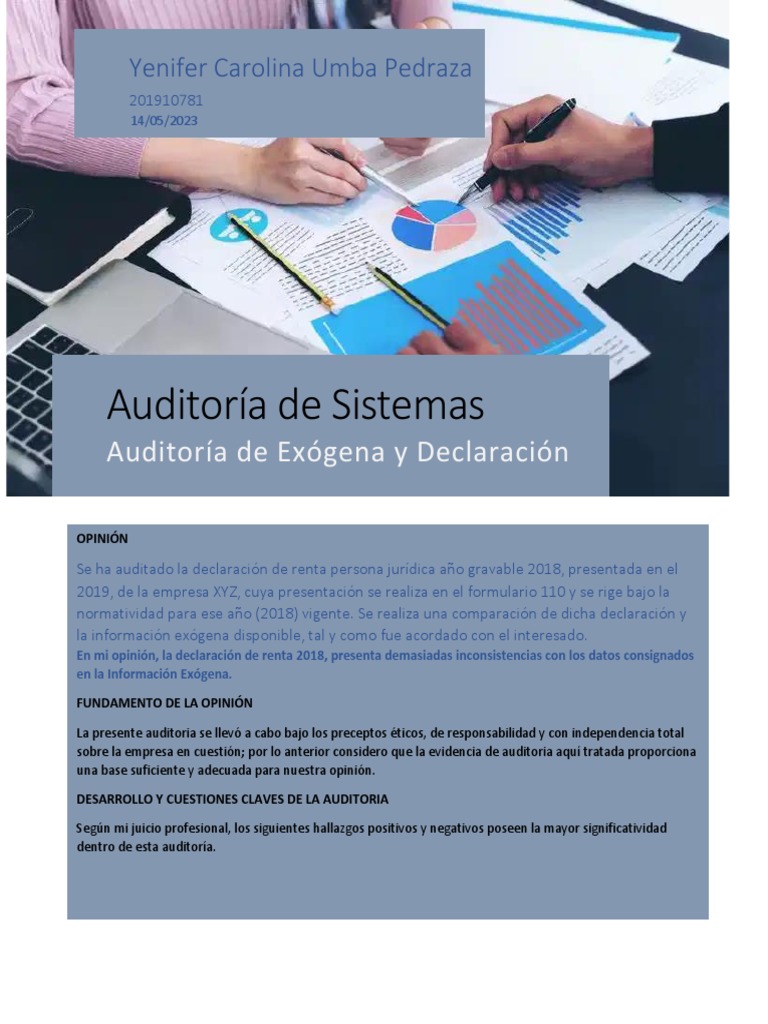 Informe De Auditoria Declaración De Renta Pdf Auditoría Economias