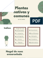 Plantas Nativas y Comunes BTC