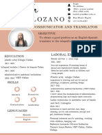 Curriculum CV Resume Original Pastel