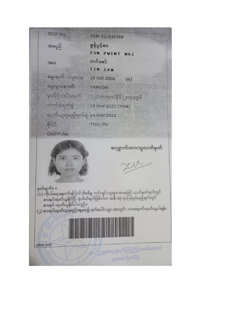 Passport Receipt Photo PDF