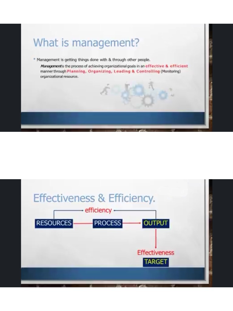 What Is Management PDF