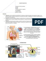 Anatomia Aparato Respiratorio