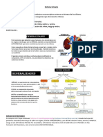 Anatomia Sist. Urinario