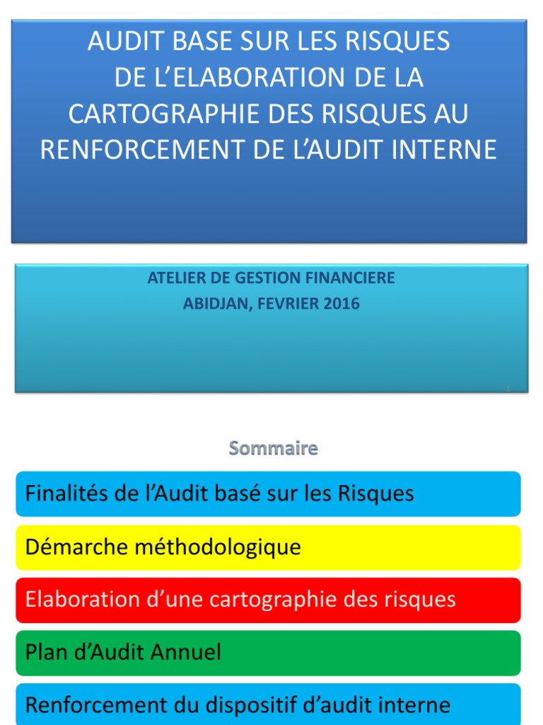 Cartographie des Risques en Audit Interne | PDF | Audit | Risque