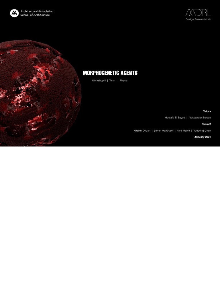 Mor | PDF