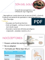 SEMINARIO - DOLOR PREGUNTA 1 y 2