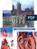 5 Ap. Cardiovascular Ana-Fisio-Semio