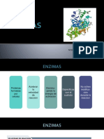 ENZIMAS (Perfil Pancreatico - Hepatico)