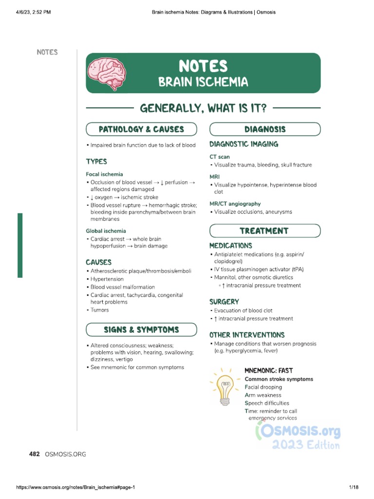 OSM - Brain Ischemia | PDF