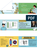 SEMINARIO Nº 4 - EL PROTEOSOMA Y LA DEGRADACIÓN DE PROTEÍNAS