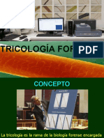 Tricologia Expo